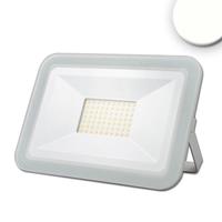 IsoLED LED Fluter Pad in Weiß 51W 5600lm 4000K IP65