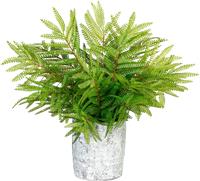 Creativ Green Kunstpflanze Farn, (1 St.)