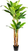 Creativ Green Kunstpalme Bananenpflanze, (1 St.)