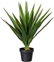 Creativ Green Künstliche Zimmerpflanze Yucca, (1 St.)