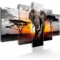 Karo-art Schilderij - Olifant voor Zonsondergang , grijs oranje , 5 luik, premium print op echt Italiaans canvas, dieren, Wanddecoratie