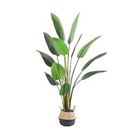 Buitengewoon de Boet Kunstplant Blad Strelitzia Soft 160 cm