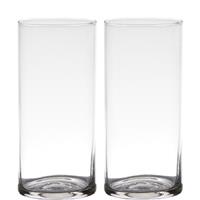 Bellatio Set van 2x stuks transparante home-basics Cylinder vorm vaas/vazen van glas 19 x 9 cm - Bloemen/takken vaas voor binnen gebruik