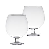 Bellatio Set van 2x stuks transparante luxe stijlvolle Brandy vaas/vazen van glas 20 cm - Bloemen/terrarium vaas voor binnen gebruik