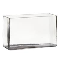 Hakbijl Glass Transparante rechthoek accubak vaas/vazen van glas 25 x 10 x 15 cm - Bloemstukje/terrarium vaas