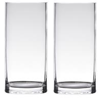 Bellatio Set van 2x stuks transparante home-basics Cylinder vorm vaas/vazen van glas 20 x 12 cm - Bloemenvaas voor binnen gebruik
