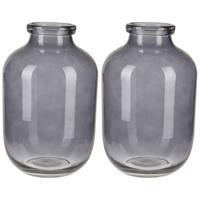 Bellatio 2x stuks grijze glazen vaas/vazen 16 x 28 cm - Vazen van glas