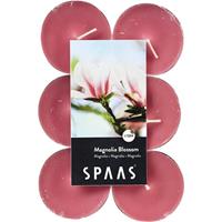 Candles By Spaas 48x Maxi geurtheelichtjes Magnolia Blossom 10 branduren - Geurkaarsen magnolia bloesem geur - Grote waxinelichtjes