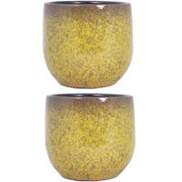 Floran 2x stuks keramiek aardewerk bloempot van H21 x D23 cm in het een goud Geel