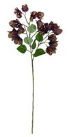 Gasper Künstliche Drillingsblume Bougainvilleen Lila Kunstzweig mit Blüten 70cm
