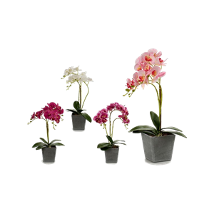 Ibergarden Deko-blumen Orchidee Kunststoff Blumentopf Grau (18 X 53 X 28 Cm)