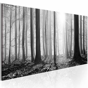 Karo-art Schilderij - Zwart-Wit Bos, print op echt Italiaans canvas, mysterieus bos, natuur, prachtig aan de wand