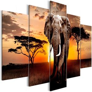 Karo-art Schilderij - Dwalende Olifant , 5 luik, 225x100cm , print op echt Italiaans canvas, dieren, natuur, Eyecatcher aan de muur