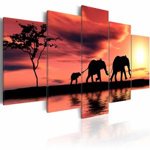 Karo-art Schilderij - Olifanten in Afrika, oranje/geel, 5luik, wanddecoratie, print op echt Italiaans canvas, landschap, dieren