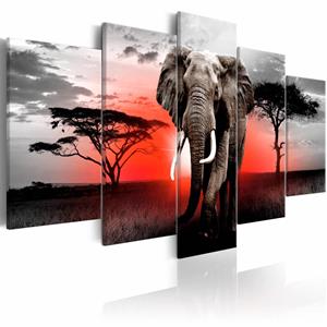 Karo-art Schilderij - Eenzame Olifant , rood grijs , 5 luik, print op echt Italiaans canvas, Afrika, Dieren, wanddecoratie