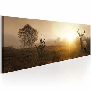 Karo-art Schilderij - Hert in de Ochtend , beige bruin, in 3 maten, premium print op echt Italiaans canvas, dieren, natuur