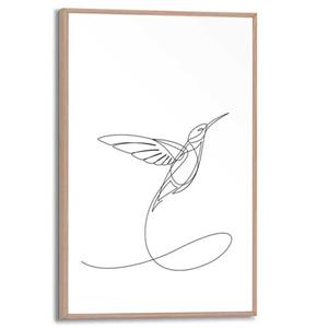 Reinders! Poster Kolibrie
