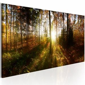 Karo-art Schilderij - Prachtig woud, zon door de bomen, print op echt Italiaans canvas, in 3 maten, wanddecoratie, Natuur