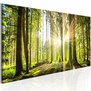 Karo-art Schilderij - Daglicht, Bruin/Groen, 1luik , premium print op echt Italiaans canvas, 3 maten, prachtige natuur, wanddecoratie