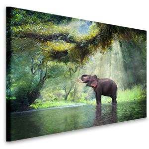 Karo-art Schilderij - Olifant in het water , wanddecoratie, zeer stevig verpakt geleverd , premium print, Dieren, natuur