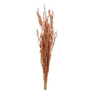 Leen Bakker Droogbloemen Alfonso gras - naturel - 100 cm