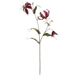 Leen Bakker Gloriosa tak - paars - 75 cm