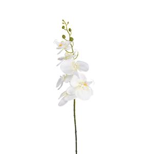 DEPOT Stielblume Orchidee Phalaenopsis, weiss