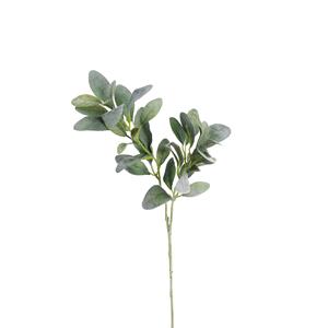 DEPOT Zweig Eukalyptus ca.75cm, grün