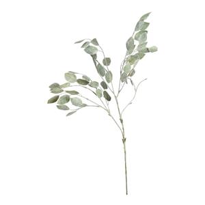 DEPOT Zweig Robinia ca.75cm, grün