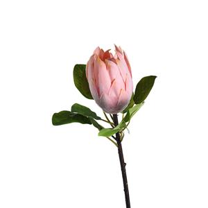 DEPOT Stielblume Protea ca.50cm, rosa