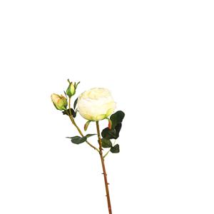 DEPOT Stielblume Rose ca.60cm, weiss