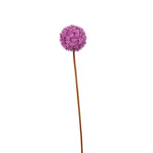 DEPOT Stielblume Allium ca.90cm, magenta
