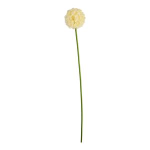DEPOT Stielblume Allium ca.90cm, weiss