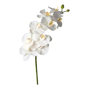 DEPOT Kunstblume Orchidee ca. 98cm, weiß