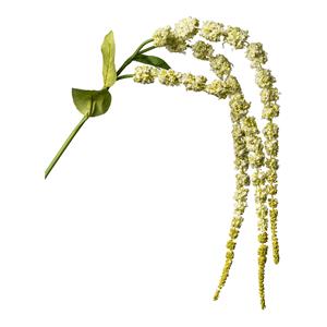 DEPOT Amaranthuszweig ca. 70cm (105cm)
