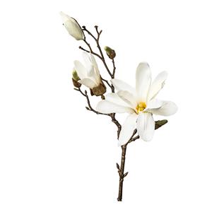 DEPOT Kunstzweig Magnolie ca. 48cm, weiß