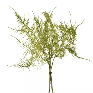 Kunstbloem Bosje Asparagus - Groen