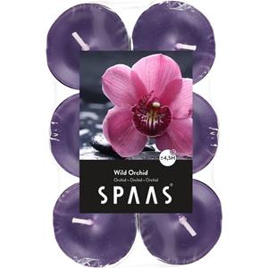 Candles by Spaas 60x Geurtheelichtjes Wild Orchid/paars 4,5 branduren -