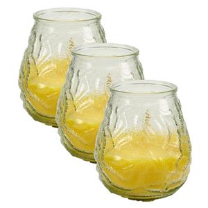 Arte r 8x stuks windlichten geurkaarsen citronella glas 10 cm -