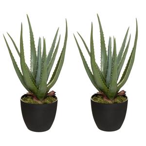 Atmosphera Set van 2x stuks  Aloe kunstplanten in pot van cement cm -