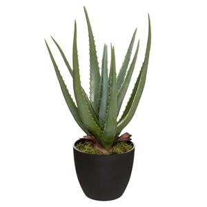 atmosphera Kunstpflanze Aloe real touch, h. 44 cm