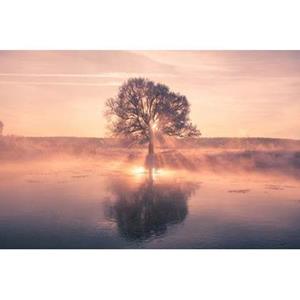 Fine Asianliving Sunset Tree with Reflection Digitalprint W120xH80cm