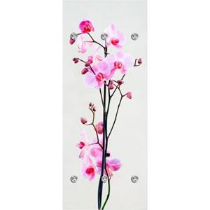 queence Garderobenleiste "Orchidee", mit 6 Haken, 50 x 120 cm
