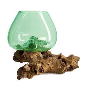 Dijk Natural Collections Root with glass ca. 28x22x26cm - Groen