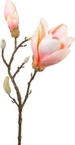 Yomonda Kunstpflanze Magnolie apricot