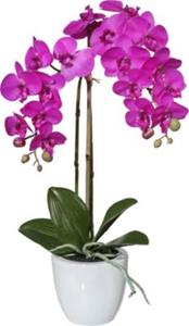 Yomonda Kunstpflanze Orchidee rosa/grün