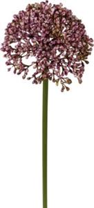 Yomonda Kunstpflanze Allium, 3er-Pack lila