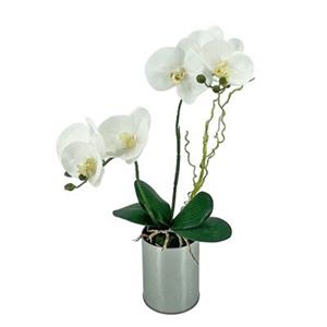 NTK-Collection Kunstblume Orchidee im Topf Leilani weiß