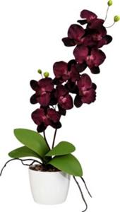Yomonda Kunstpflanze Orchidee beere