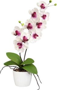Yomonda Kunstpflanze Orchidee weiß
